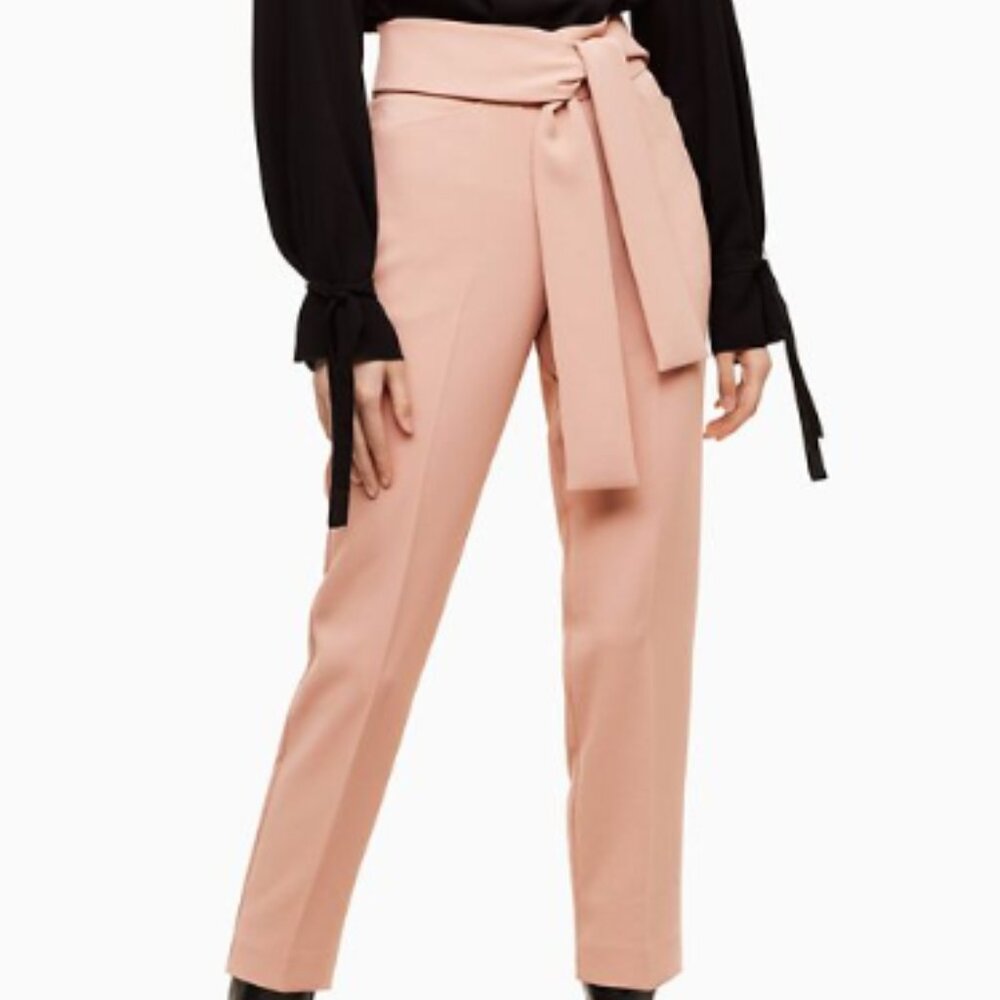 Aritzia Geneva Dress Tie Front Pants with pockets
